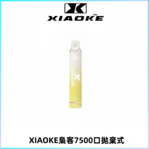 XIAOKE梟客7500Puffs跑馬燈拋棄式電子煙 可發光一次性
